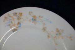 BAWO & DOTTER  AUTUMN VINE, BLUE FLORAL-  SALAD PLATE  7  7/16"    .....   http://jaapiesfinechinastore.com