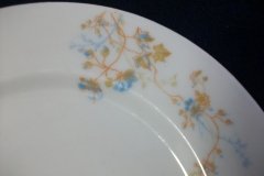 BAWO & DOTTER  AUTUMN VINE, BLUE FLORAL-  SALAD PLATE  7  7/16"    .....   http://jaapiesfinechinastore.com