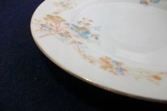 BAWO & DOTTER  AUTUMN VINE, BLUE FLORAL-  SALAD PLATE  7  7/16"    .....   http://jaapiesfinechinastore.com