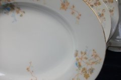 BAWO & DOTTER  AUTUMN VINE, BLUE FLORAL-     SERVING PLATTER 11 1/8"       .....   http://jaapiesfinechinastore.com