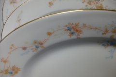 BAWO & DOTTER  AUTUMN VINE, BLUE FLORAL-     SERVING PLATTER 11 1/8"       .....   http://jaapiesfinechinastore.com