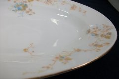 BAWO & DOTTER  AUTUMN VINE, BLUE FLORAL-     SERVING PLATTER 11 1/8"       .....   http://jaapiesfinechinastore.com