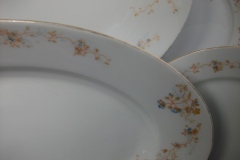 BAWO & DOTTER  AUTUMN VINE, BLUE FLORAL-     SERVING PLATTER  15  7/8"       .....   https://www.jaapiesfinechinastore.com