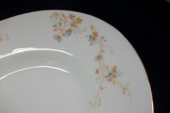 BAWO & DOTTER  AUTUMN VINE, BLUE FLORAL-     SERVING PLATTER  15  7/8"       .....   https://www.jaapiesfinechinastore.com