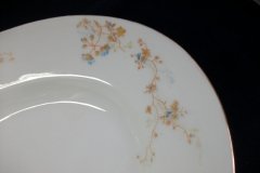BAWO & DOTTER  AUTUMN VINE, BLUE FLORAL-     SERVING PLATTER  15  7/8"       .....   http://jaapiesfinechinastore.com