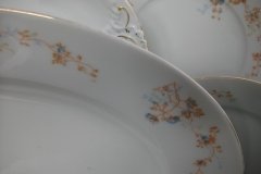 BAWO & DOTTER  AUTUMN VINE, BLUE FLORAL-     SERVING PLATTER  17  7/8"       .....   http://jaapiesfinechinastore.com