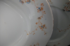 BAWO & DOTTER  AUTUMN VINE, BLUE FLORAL-     SERVING PLATTER  17  7/8"       .....   https://www.jaapiesfinechinastore.com