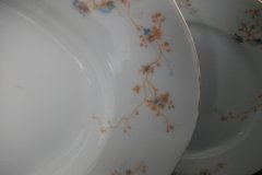 BAWO & DOTTER  AUTUMN VINE, BLUE FLORAL-     SERVING PLATTER  17  7/8"       .....   http://jaapiesfinechinastore.com