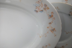 BAWO & DOTTER  AUTUMN VINE, BLUE FLORAL-     SERVING PLATTER  17  7/8"       .....   https://www.jaapiesfinechinastore.com