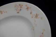BAWO & DOTTER  AUTUMN VINE, BLUE FLORAL-     SERVING PLATTER  17  7/8"       .....   http://jaapiesfinechinastore.com