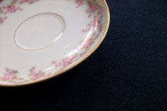 BAWO & DOTTER ELITE WORKS BRIDAL WREATH- DEMI CUP &  SAUCER  .....   http://jaapiesfinechinastore.com