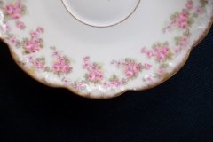 BAWO & DOTTER ELITE WORKS BRIDAL WREATH- DEMI CUP &  SAUCER  .....   http://jaapiesfinechinastore.com