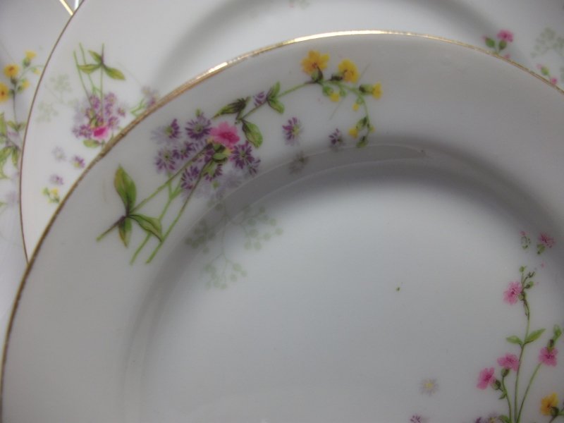BAWO & DOTTER  PURPLE ASTER & YELLOW/ PINK FLOWERS-  BREAD & BUTTER PLATE  6 1/4"   ..... http://jaapiesfinechinastore.com