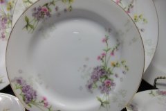 BAWO & DOTTER  PURPLE ASTER & YELLOW/ PINK FLOWERS-  BREAD & BUTTER PLATE  6 1/4"   ..... http://jaapiesfinechinastore.com
