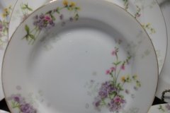 BAWO & DOTTER  PURPLE ASTER & YELLOW/ PINK FLOWERS-  BREAD & BUTTER PLATE  6 1/4"   ..... http://jaapiesfinechinastore.com