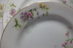 BAWO & DOTTER  PURPLE ASTER & YELLOW/ PINK FLOWERS-  BREAD & BUTTER PLATE  6 1/4"   ..... http://jaapiesfinechinastore.com