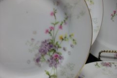 BAWO & DOTTER  PURPLE ASTER & YELLOW/ PINK FLOWERS-  BREAD & BUTTER PLATE  6 1/4"   ..... http://jaapiesfinechinastore.com