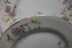 BAWO & DOTTER  PURPLE ASTER & YELLOW/ PINK FLOWERS-  BREAD & BUTTER PLATE  6 1/4"   ..... http://jaapiesfinechinastore.com