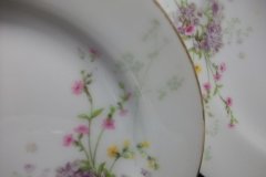 BAWO & DOTTER  PURPLE ASTER & YELLOW/ PINK FLOWERS-  BREAD & BUTTER PLATE  6 1/4"   ..... http://jaapiesfinechinastore.com