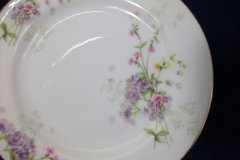BAWO & DOTTER  PURPLE ASTER & YELLOW/ PINK FLOWERS-  BREAD & BUTTER PLATE  6 1/4"   ..... http://jaapiesfinechinastore.com