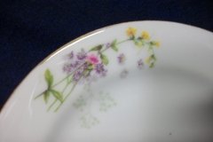 BAWO & DOTTER  PURPLE ASTER & YELLOW/ PINK FLOWERS-  BREAD & BUTTER PLATE  6 1/4"   ..... http://jaapiesfinechinastore.com