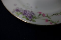 BAWO & DOTTER  PURPLE ASTER & YELLOW/ PINK FLOWERS-  BREAD & BUTTER PLATE  6 1/4"   ..... http://jaapiesfinechinastore.com