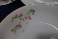 BAWO & DOTTER PURPLE ASTER & YELLOW/ PINK FLOWERS-COUPE SOUP BOWL  7 1/2" ..... http://jaapiesfinechinastore.com
