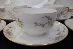 WM GUERIN/BAWO & DOTTER PURPLE ASTER & YELLOW/ PINK FLORAL SPRAYS- CUP SAUCER ..... http://jaapiesfinechinastore.com