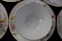 WM GUERIN/BAWO & DOTTER PURPLE ASTER & YELLOW/ PINK FLORAL SPRAYS- CUP SAUCER ..... http://jaapiesfinechinastore.com