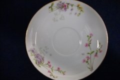 WM GUERIN/BAWO & DOTTER PURPLE ASTER & YELLOW/ PINK FLORAL SPRAYS- CUP SAUCER ..... http://jaapiesfinechinastore.com