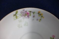 WM GUERIN/BAWO & DOTTER PURPLE ASTER & YELLOW/ PINK FLORAL SPRAYS- CUP SAUCER ..... http://jaapiesfinechinastore.com