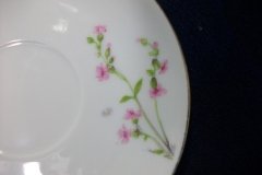 WM GUERIN/BAWO & DOTTER PURPLE ASTER & YELLOW/ PINK FLORAL SPRAYS- CUP SAUCER ..... http://jaapiesfinechinastore.com