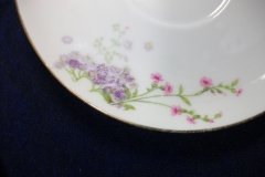 WM GUERIN/BAWO & DOTTER PURPLE ASTER & YELLOW/ PINK FLORAL SPRAYS- CUP SAUCER ..... http://jaapiesfinechinastore.com