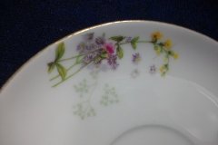 WM GUERIN/BAWO & DOTTER PURPLE ASTER & YELLOW/ PINK FLORAL SPRAYS- CUP SAUCER ..... http://jaapiesfinechinastore.com