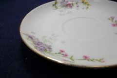 WM GUERIN/BAWO & DOTTER PURPLE ASTER & YELLOW/ PINK FLORAL SPRAYS- CUP SAUCER ..... http://jaapiesfinechinastore.com