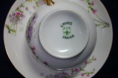 WM GUERIN/BAWO & DOTTER PURPLE ASTER & YELLOW/ PINK FLORAL SPRAYS- CUP SAUCER ..... http://jaapiesfinechinastore.com