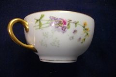 WM GUERIN/BAWO & DOTTER PURPLE ASTER & YELLOW/ PINK FLORAL SPRAYS- CUP SAUCER ..... http://jaapiesfinechinastore.com