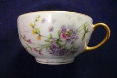 WM GUERIN/BAWO & DOTTER PURPLE ASTER & YELLOW/ PINK FLORAL SPRAYS- CUP SAUCER ..... http://jaapiesfinechinastore.com