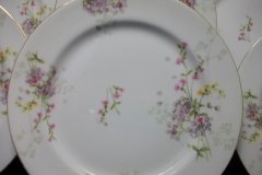 BAWO & DOTTER PURPLE ASTER & YELLOW/ PINK FLOWERS-DINNER PLATE 9 3/4" ..... http://jaapiesfinechinastore.com