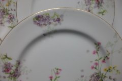 BAWO & DOTTER PURPLE ASTER & YELLOW/ PINK FLOWERS-DINNER PLATE 9 3/4" ..... http://jaapiesfinechinastore.com