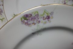 BAWO & DOTTER PURPLE ASTER & YELLOW/ PINK FLOWERS-DINNER PLATE 9 3/4" ..... http://jaapiesfinechinastore.com