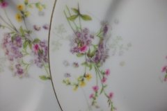 BAWO & DOTTER PURPLE ASTER & YELLOW/ PINK FLOWERS-DINNER PLATE 9 3/4" ..... http://jaapiesfinechinastore.com