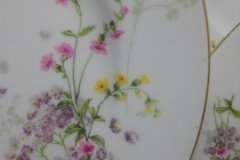 BAWO & DOTTER PURPLE ASTER & YELLOW/ PINK FLOWERS-DINNER PLATE 9 3/4" ..... http://jaapiesfinechinastore.com
