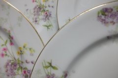 BAWO & DOTTER PURPLE ASTER & YELLOW/ PINK FLOWERS-DINNER PLATE 9 3/4" ..... http://jaapiesfinechinastore.com