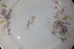 BAWO & DOTTER PURPLE ASTER & YELLOW/ PINK FLOWERS-DINNER PLATE 9 3/4" ..... http://jaapiesfinechinastore.com