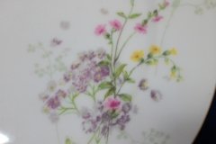 BAWO & DOTTER PURPLE ASTER & YELLOW/ PINK FLOWERS-DINNER PLATE 9 3/4" ..... http://jaapiesfinechinastore.com