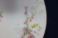 BAWO & DOTTER PURPLE ASTER & YELLOW/ PINK FLOWERS-DINNER PLATE 9 3/4" ..... http://jaapiesfinechinastore.com