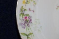 BAWO & DOTTER PURPLE ASTER & YELLOW/ PINK FLOWERS-DINNER PLATE 9 3/4" ..... http://jaapiesfinechinastore.com