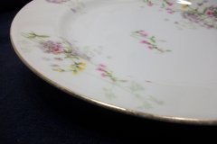 BAWO & DOTTER PURPLE ASTER & YELLOW/ PINK FLOWERS-DINNER PLATE 9 3/4" ..... http://jaapiesfinechinastore.com
