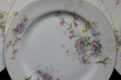 BAWO & DOTTER PURPLE ASTER & YELLOW/ PINK FLOWERS-SALAD PLATE  7 5 /8" ..... http://jaapiesfinechinastore.com